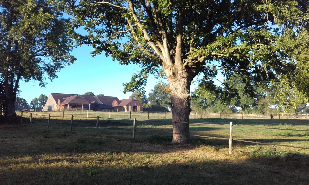 Les Gites Haras Del Paradiso Boitron Eksteriør billede