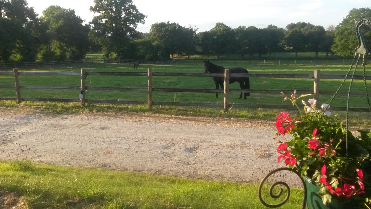 Les Gites Haras Del Paradiso Boitron Eksteriør billede