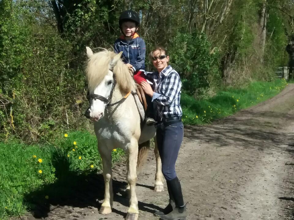Les Gites Haras Del Paradiso Boitron Eksteriør billede